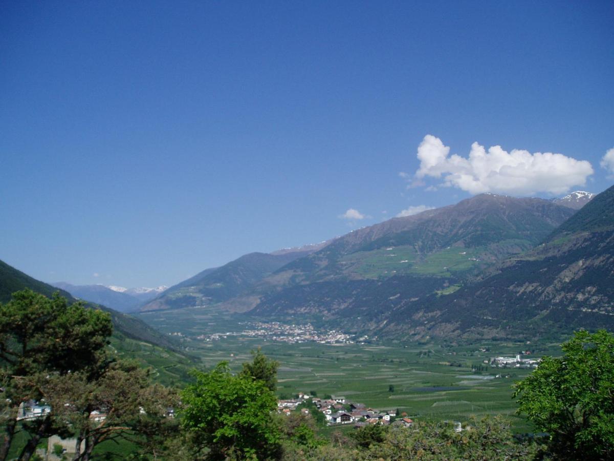 Schlosshof Zu Montani Morter Esterno foto