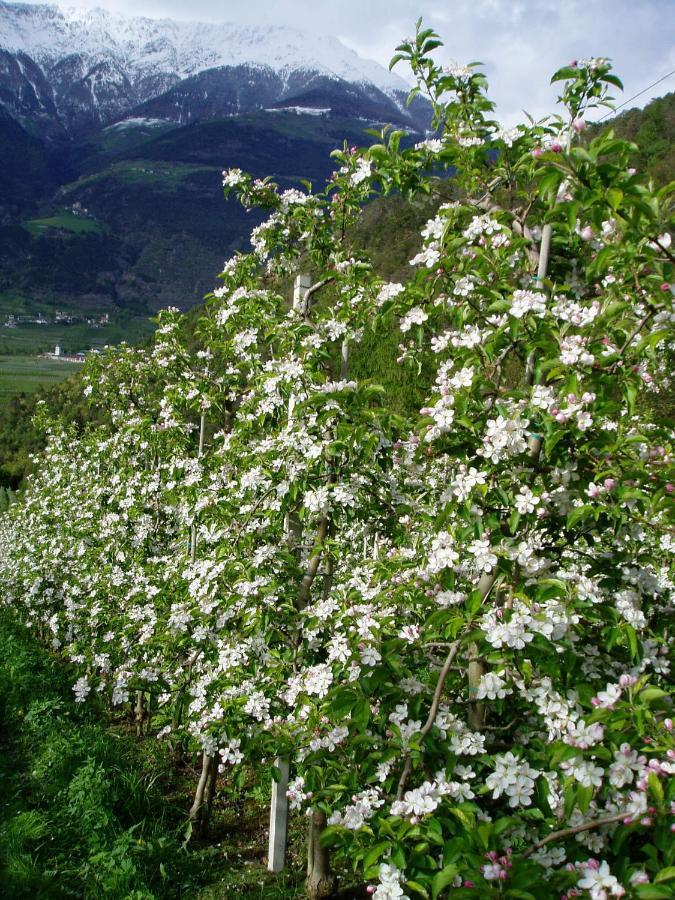 Schlosshof Zu Montani Morter Esterno foto