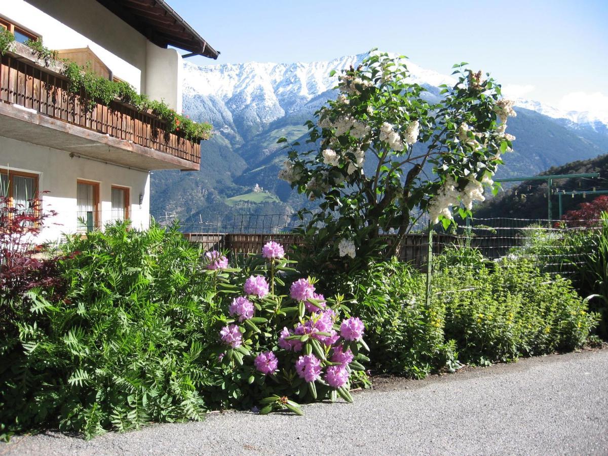 Schlosshof Zu Montani Morter Esterno foto